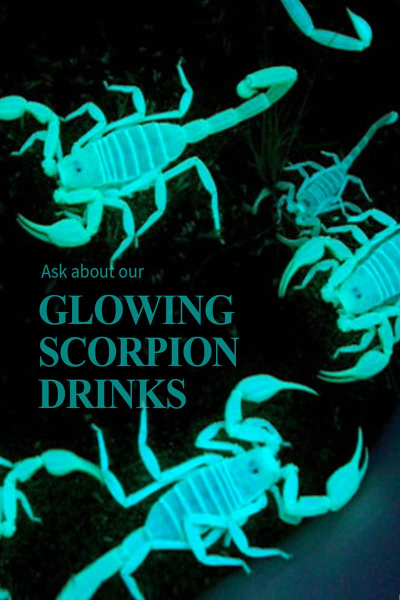 Scorpions Glow