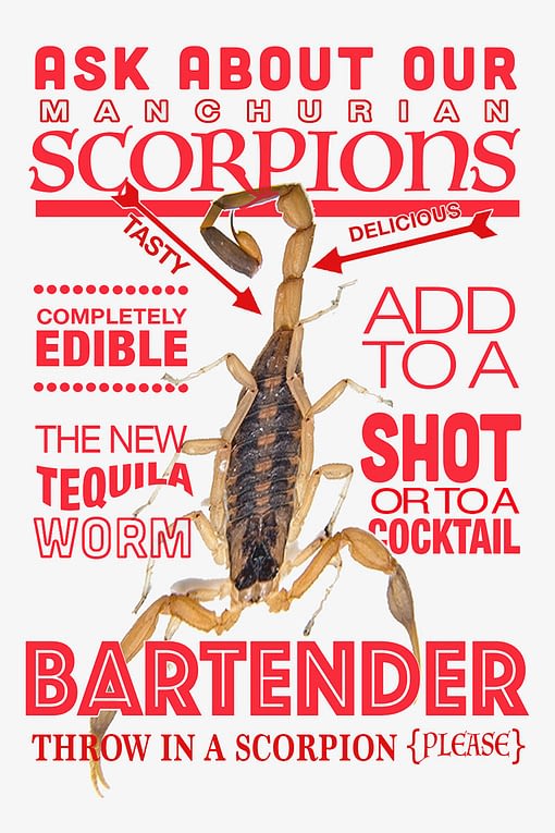 Real Scorpions Shot